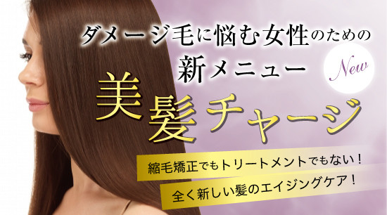 ヘアカラーによるダメージ毛・クセ毛にお悩みの方に美髪チャージでツヤ髪に♡